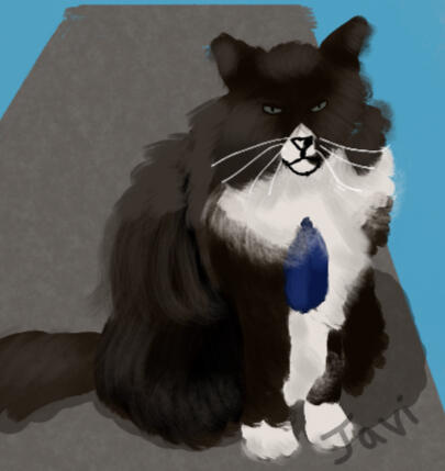 charming cat
