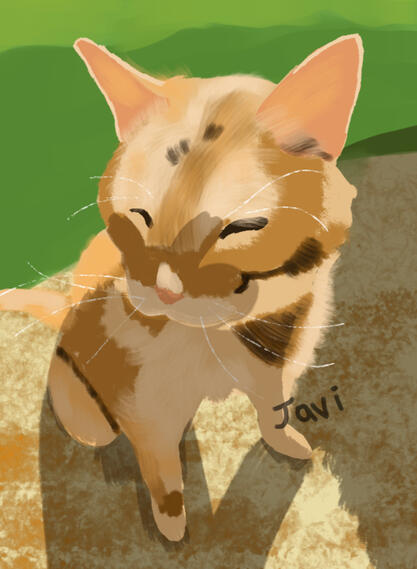 enjoying the sun