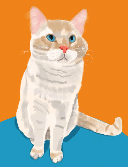 cute cat