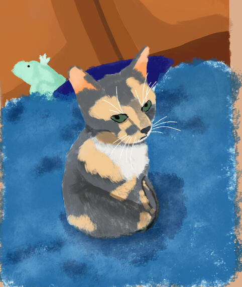 cat sitting on bed
