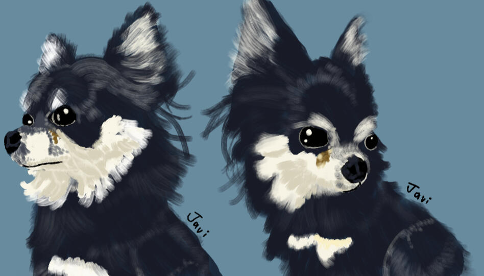 half body portrait of doggy