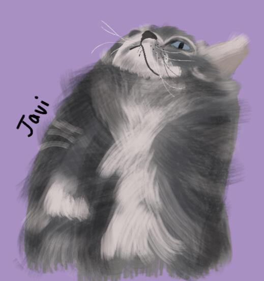 kitten looking up