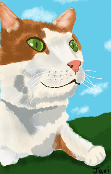 cat relaxing outside